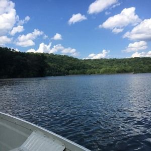 Meet your Posher, Shane